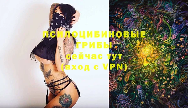 сатива Армянск