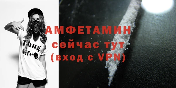 сатива Армянск