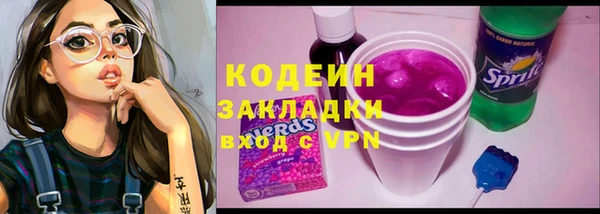хмурый Арсеньев