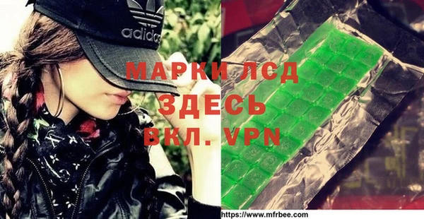 хмурый Арсеньев