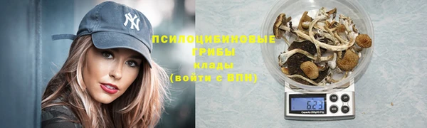 хмурый Арсеньев