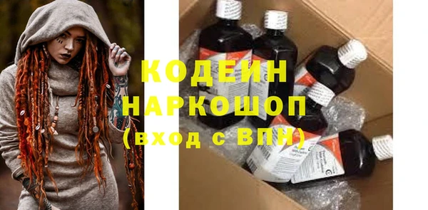 хмурый Арсеньев