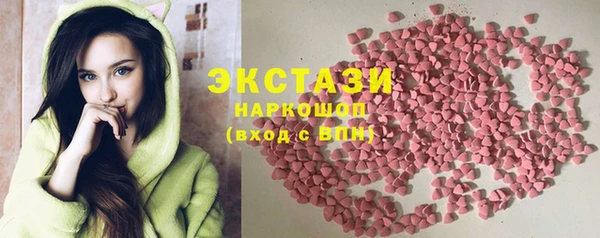 хмурый Арсеньев