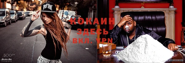 хмурый Арсеньев