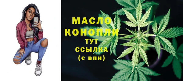 хмурый Арсеньев