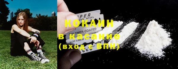 сатива Армянск