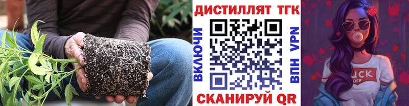 ТГК THC oil  где можно купить наркотик  MEGA как войти  Богородицк 