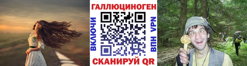 Галлюциногенные грибы Psilocybine cubensis Богородицк