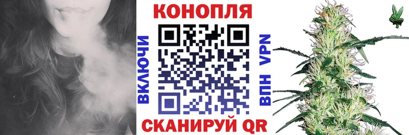 купить наркоту  кракен ТОР  Канабис план  Богородицк 
